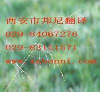 提供各小語種翻譯服務 價格、廠家與一站式解決方案